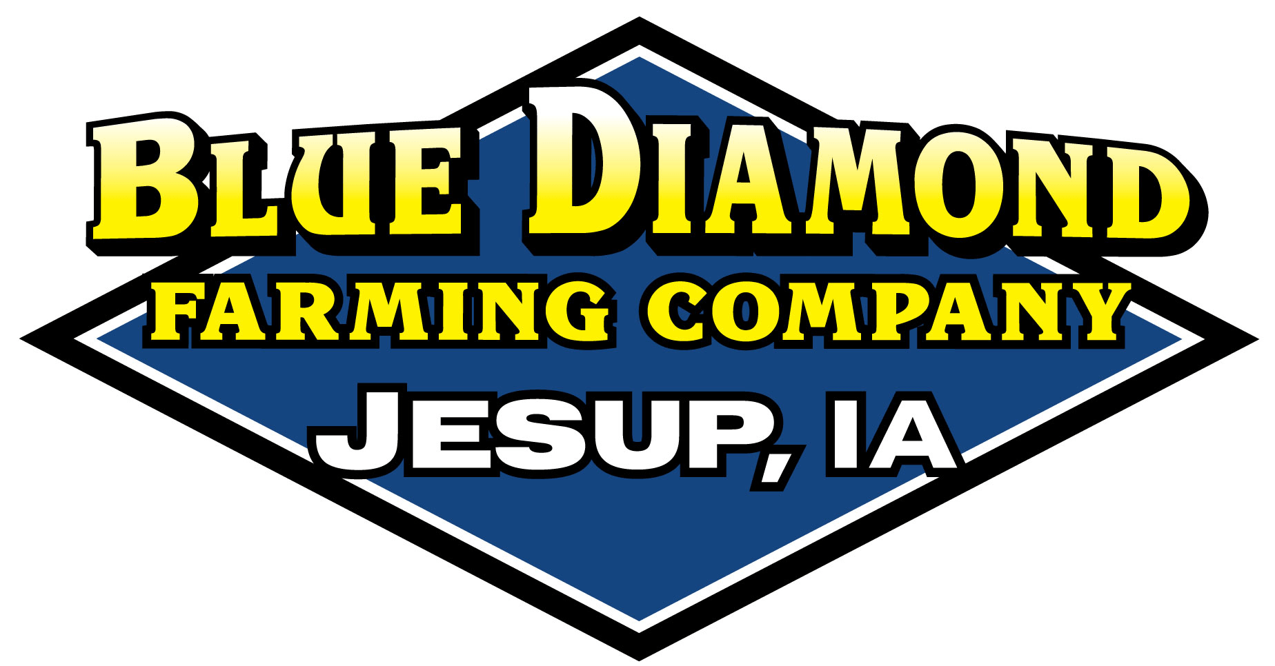 Blue Diamond Company Logo - Contact Us