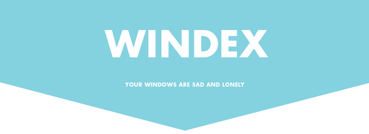 Windex Logo - WINDEX