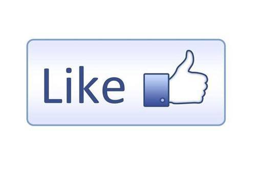 Facebook Like Logo - 320496-facebook-like-logo - The Foam Booth