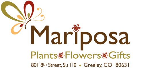 Mariposa Logo - Greeley florist - Mariposa Flowers and Plants