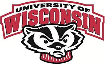 Wisconsion Logo - Amazon.com: 9 inch Bucky Badger Decal UW University of Wisconsin ...