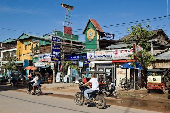 Dead Fish Restaurant Logo - Dead Fish Restaurant and Guest House - Picture of Siem Reap, Siem ...