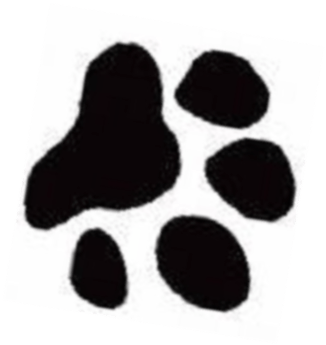 Red Wolf Paw Logo - Download Red Wolf Paw Print PNG Image with No Background