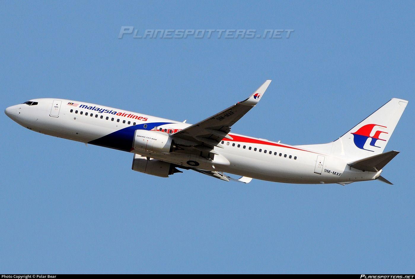 Airline Polar Bear Logo - 9M MXF Malaysia Airlines Boeing 737 8H6(WL) Photo By Polar Bear