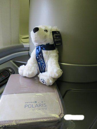 Airline Polar Bear Logo - Polar bear and amenity kit of United Airlines
