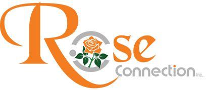 Rose Company Logo - California roses, california wholesale roses usa wholesale flowers