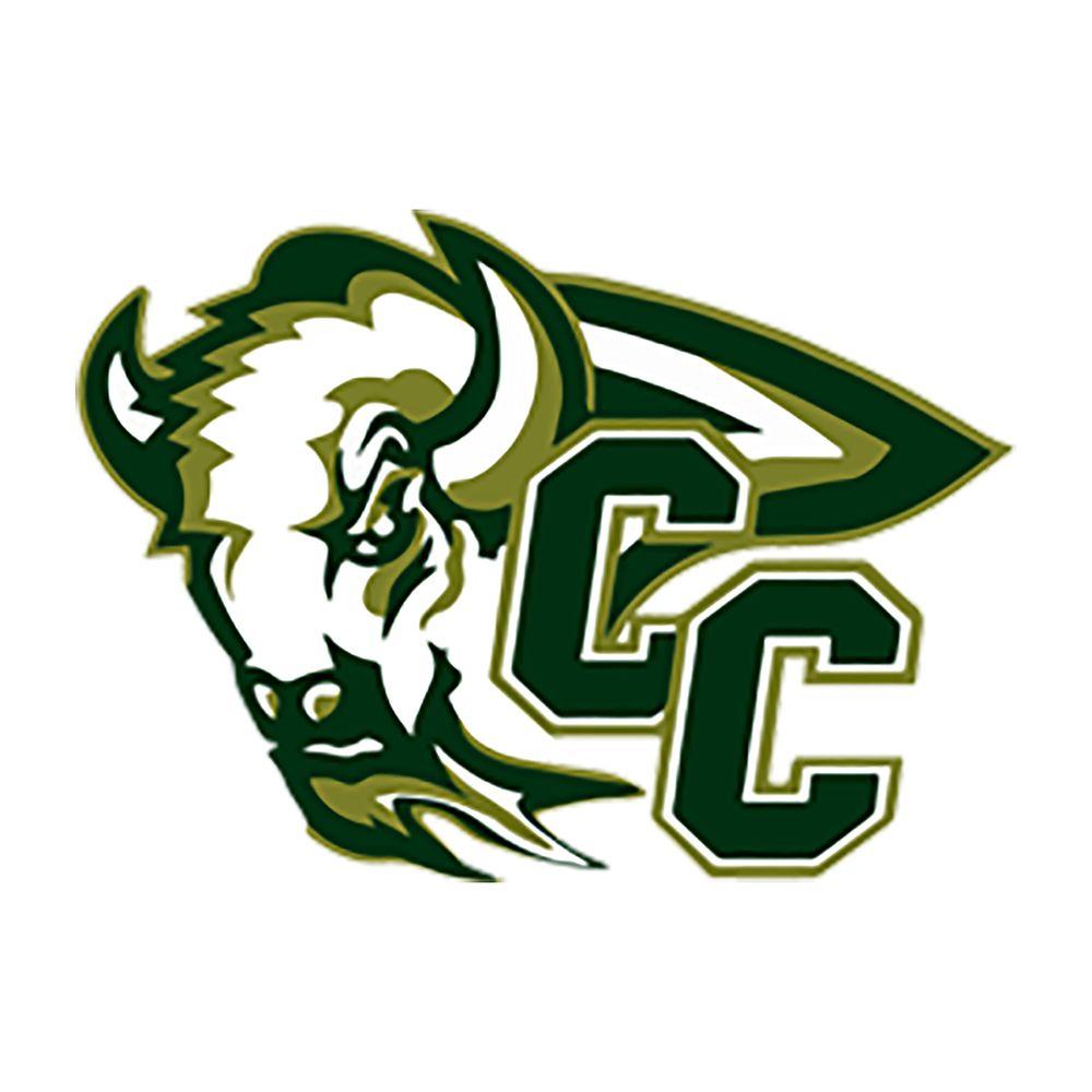 Green Bison Logo - The Republican Nonpareil | Bison boys, girls lose to Boone Central/NG