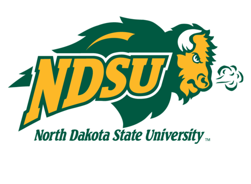 Bisons Basketball Logo - See the NDSU Bison basketball coach in his bare feet - for a great ...