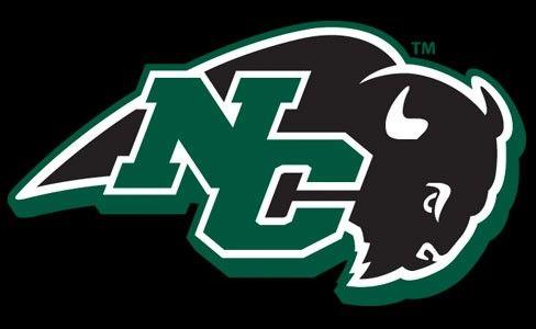 Green Bison Logo - Nichols Unveils New Athletics Logo College Athletics
