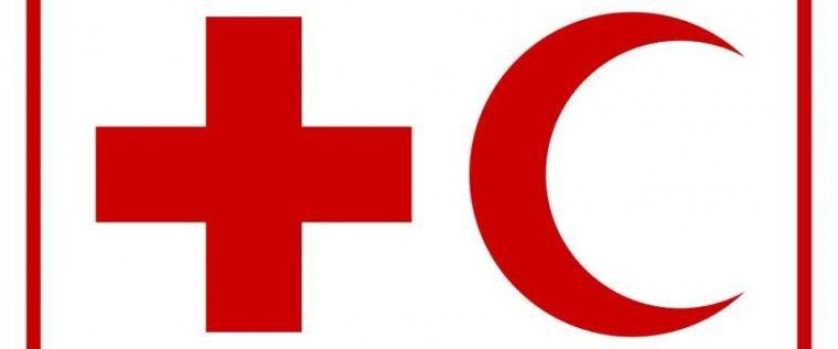 Ifrc Logo - Red Cross calls for help in CAR Africa AnalysisNew Africa Analysis