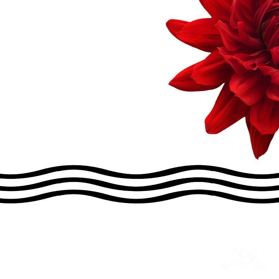 Three Red Lines Logo - Dahlia Flower And Wavy Lines Triptych Canvas 3