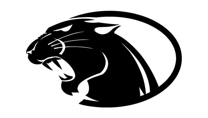 White Panther Logo - York College unveils new athletic identity