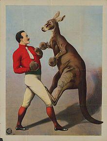 Boxing Kangaroo Logo - Boxing kangaroo