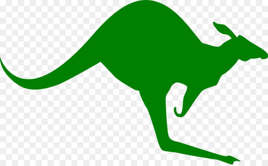 Boxing Kangaroo Logo - Red kangaroo Koala Boxing kangaroo Clip art png download