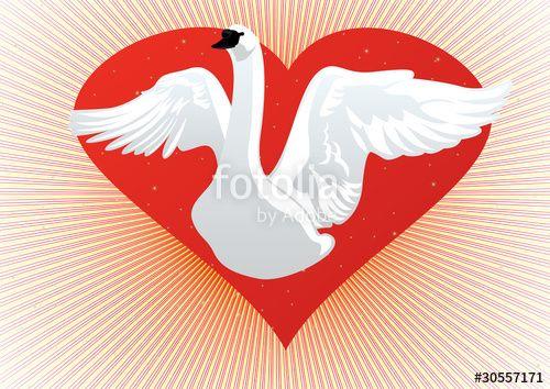 Red and White Swan Logo - White Swan on the background of the heart Stock image and royalty