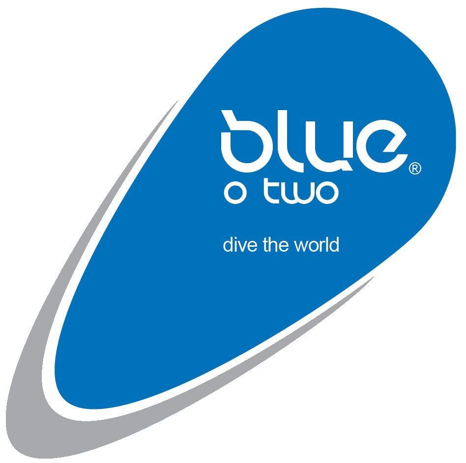 Blue Logo - Two blue p Logos