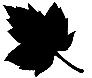 Black Leaf Logo - Black Leaf Clipart