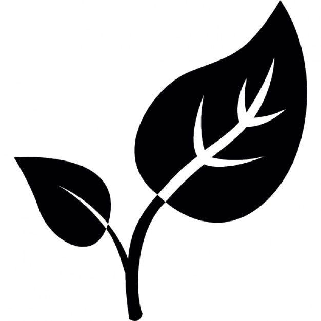 Black and White Leaf Logo - Free Leaf Icon Png 123367 | Download Leaf Icon Png - 123367