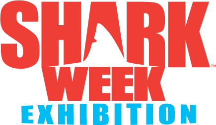 Shark Week Logo - Shark Week Exhibition - Exhibits Development Group
