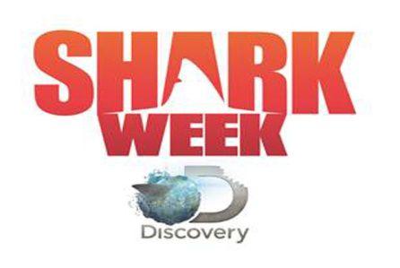 Shark Week Logo - Shark Week Details Surface From Discovery Channel | Deadline