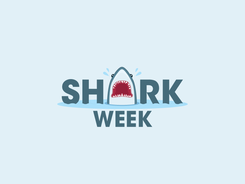 Shark Week Logo - Shark Week by Nickolena | Dribbble | Dribbble