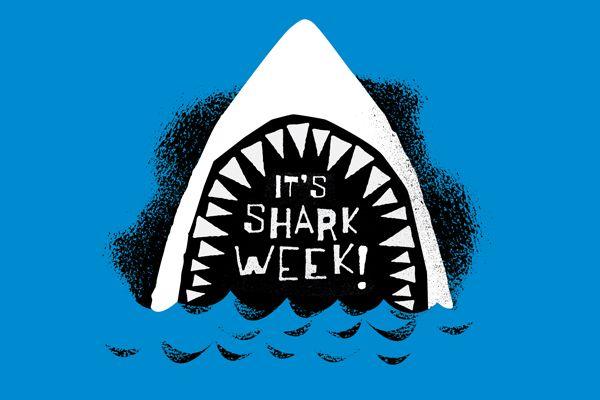 Shark Week Logo - Dear Shark Week, I Cheated on you with SharkFest | MIX+SHINE ...