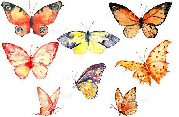 Orange and Red Butterfly Logo - Watercolor Clipart Orange Butterfly Illustrations Creative Market