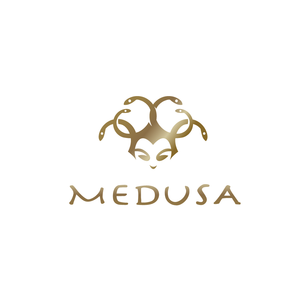 Medusa Logo - SOLD – Medusa—Snake Woman Logo Design – Logo Cowboy