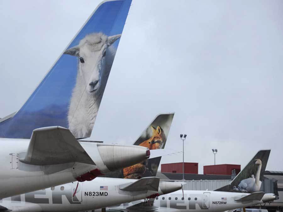 Airline with Goat Logo - Frontier Airlines passengers frustrated by long phone wait times and ...