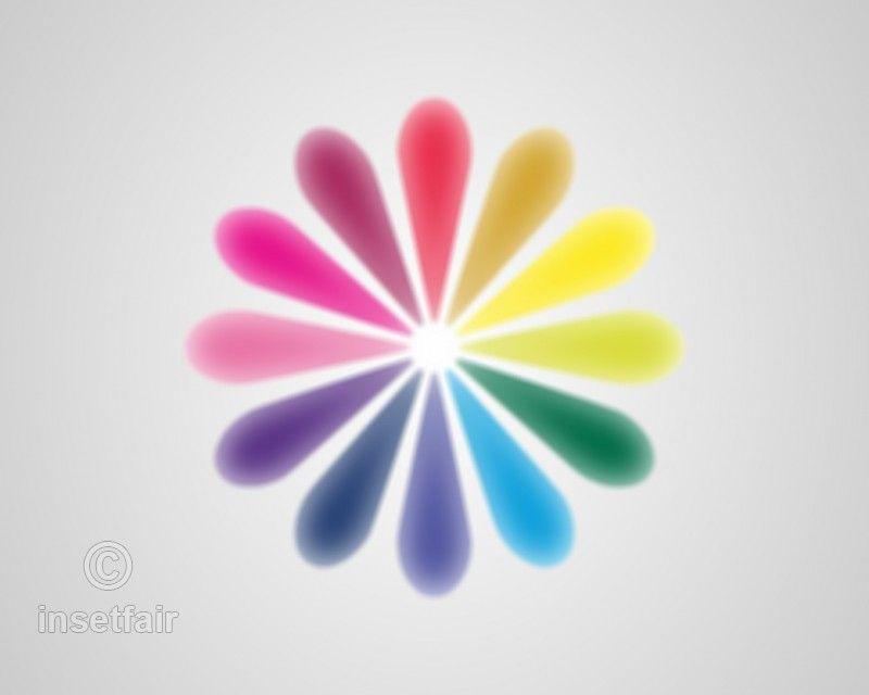 Multi Colored Flower Logo - Flower with multi colored petals in png format