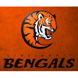Bengals New Logo - Cincinnati Bengals Concept Logo. Sports Logo History