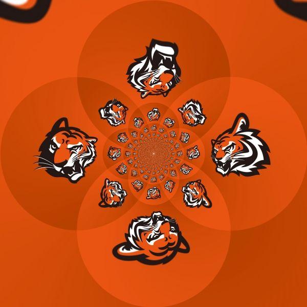 Bengals New Logo - Should the bengals change their logo?