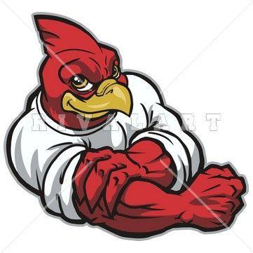 Fighting Cardinal Logo - Mascot Clipart Image of a Fighting Cardinal Graphic | Cardinal Clip ...