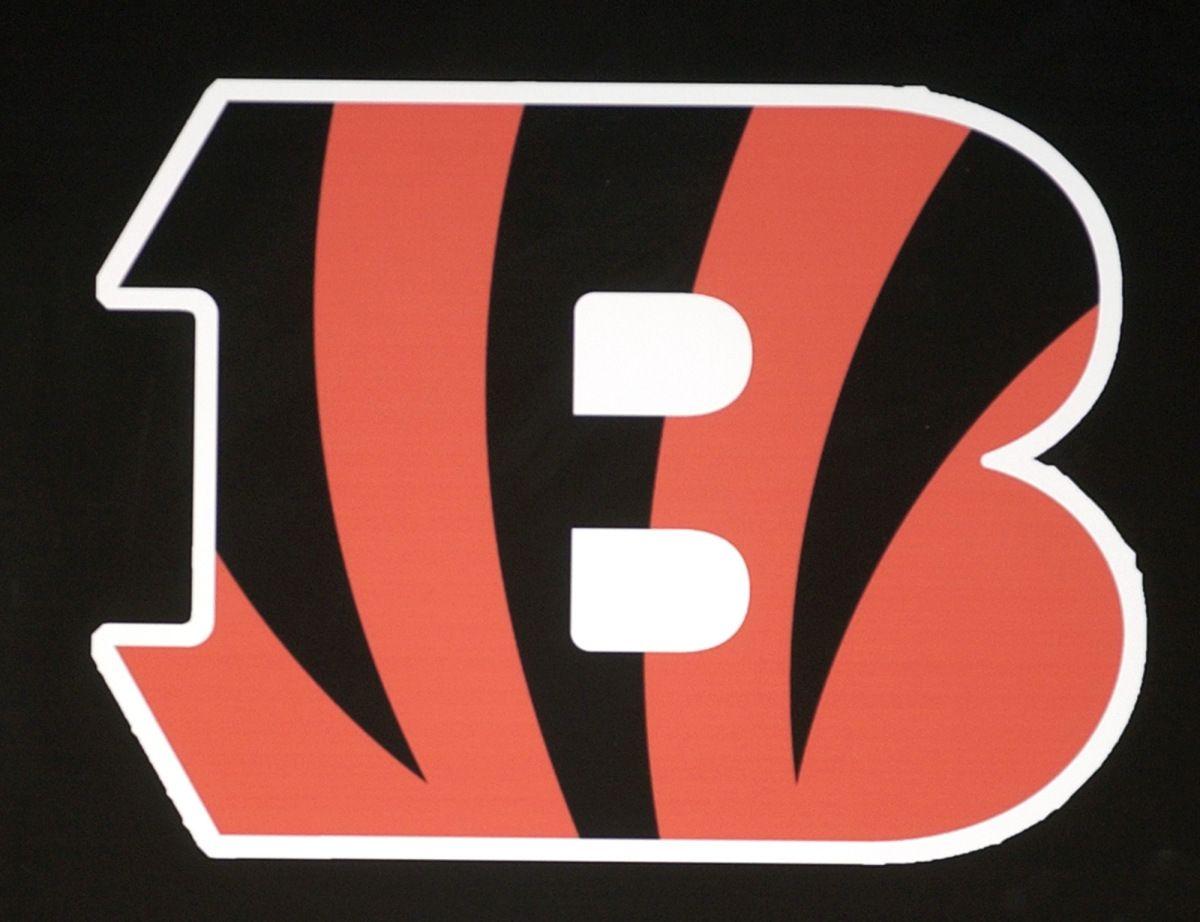 Bengals New Logo - AP BENGALS S FBN USA OH | For The Win