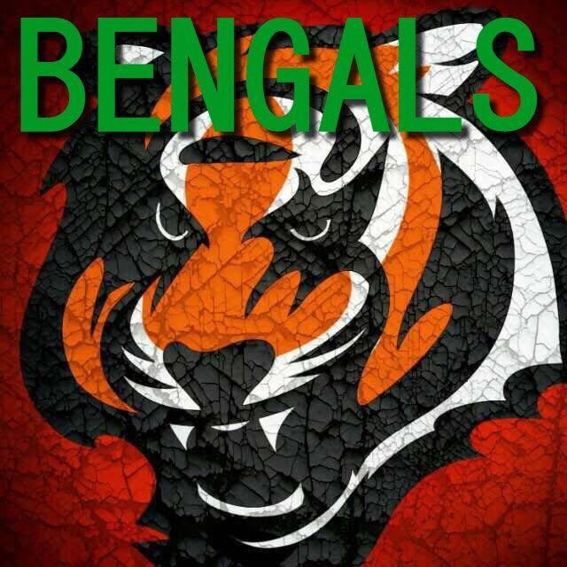 Bengals New Logo - bengals-new-logo - SA Sports