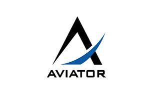 Aviation Logo - Airlines Logo Design. Aviation Logo Explained. Logo Design Team