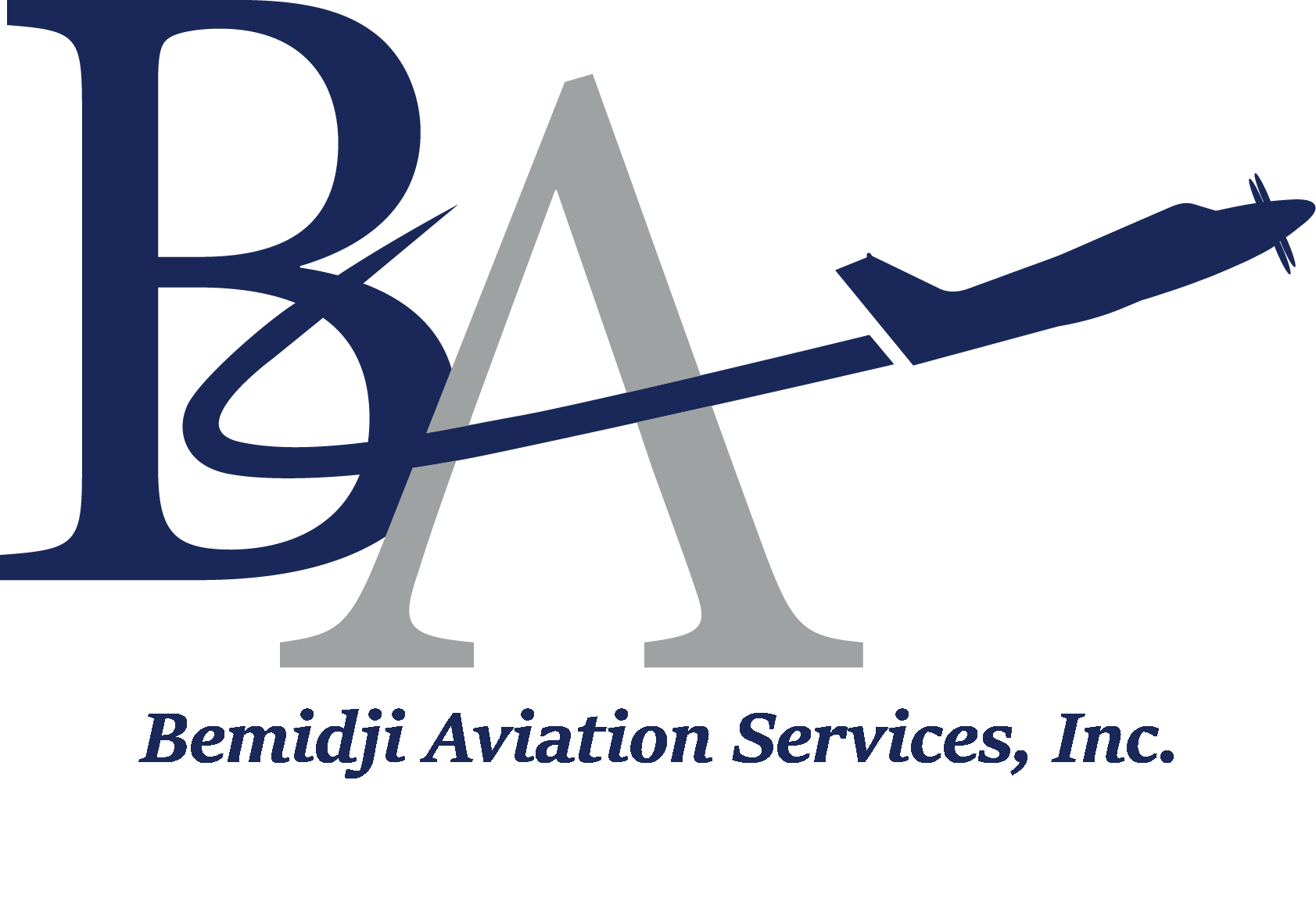 Aviation Logo