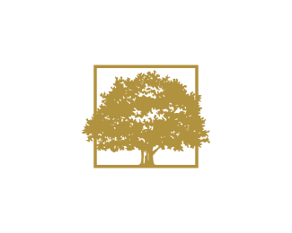 Yellow Tree Logo - Logopond, Brand & Identity Inspiration (Noble Tree Logo)
