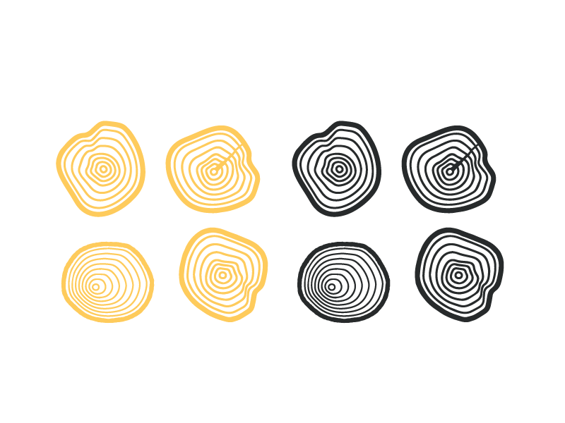 Yellow Tree Logo - Tree Ring Branding - Icon for logo by Lucas Jubb | Dribbble | Dribbble