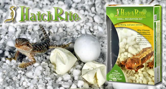 Reptile Egg Logo - How to Incubate Reptile Eggs Using HatchRite