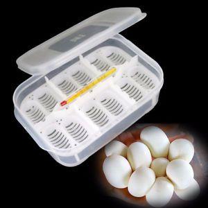 Reptile Egg Logo - 12 Reptile Egg Incubator Tray Thermometer Incubation.Gecko Lizard ...