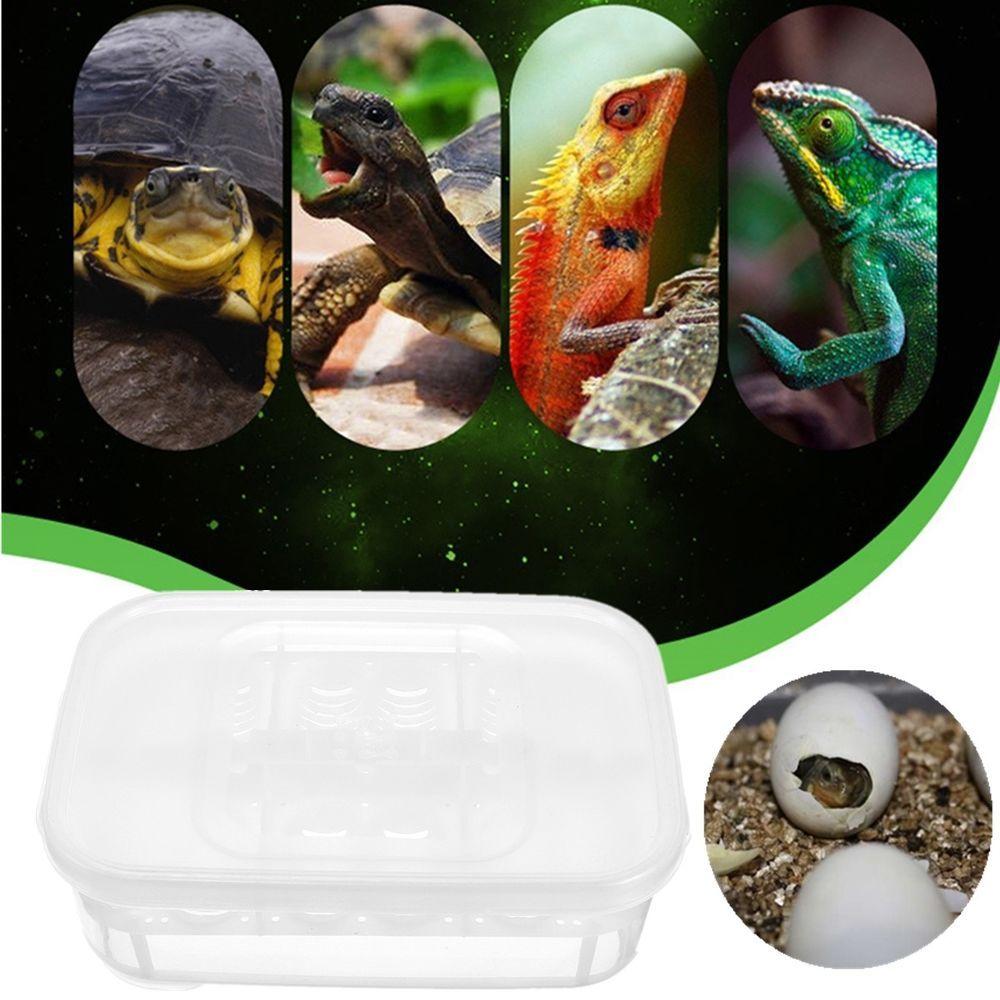 Reptile Egg Logo - 12 Grid Reptile Eggs Incubator Tray Lizard Gecko Snake Bird Egg ...