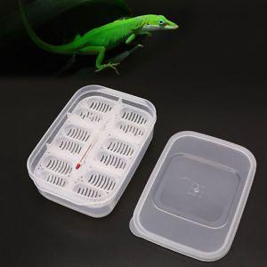 Reptile Egg Logo - Thermometer Incubating Snake Egg Incubation Tool Reptile Egg ...