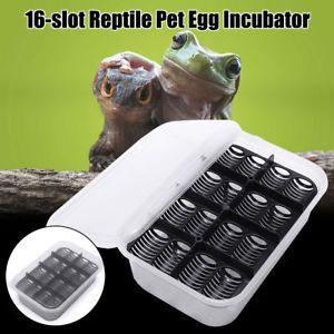 Reptile Egg Logo - Hot Reptile Eggs Incubator Tray Lizard Gecko Snake Bird Hatcher Box ...