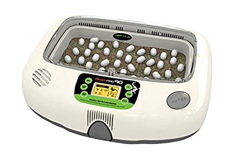 Reptile Egg Logo - R-Com PX-R90 Juragon Pro 90 Digital Reptile Egg Incubator: Amazon ...