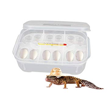 Reptile Egg Logo - 12-Compartment Professional Reptile Breeding Box Reptile Egg ...