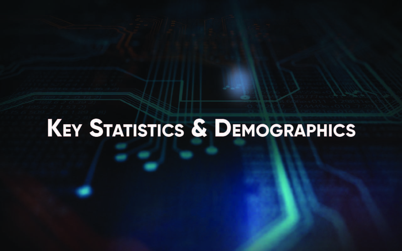 Newegg Marketplace Logo - Newegg Marketplace Key Statistics & Demographics