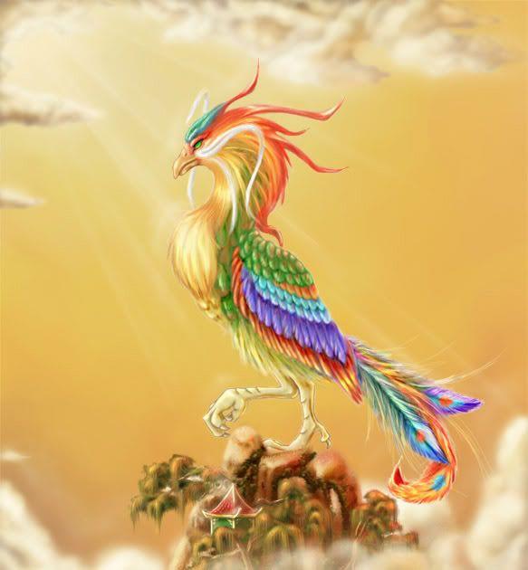 Rainbow Phoenix Logo - My Name: Fire Phoenix Dancer | Fire Phoenix Dancer