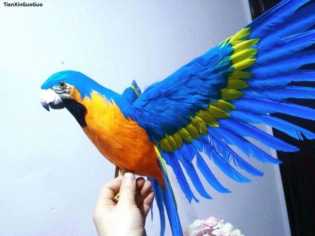 Orange and Blue Bird Logo - large 42x60cm spreading wings parrot orange blue feathers parrot