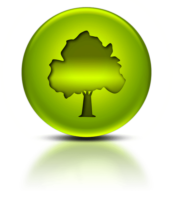 Green Orb Logo - Shop! Insights Center 052334-green-metallic-orb-icon-natural-wonders ...